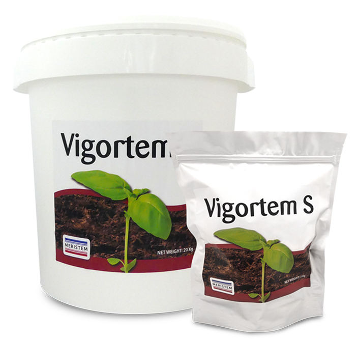 Vigortem-S