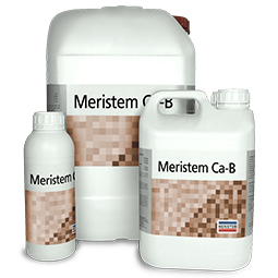 MERISTEM CA-B (МЕРИСТЕМ СА-В)