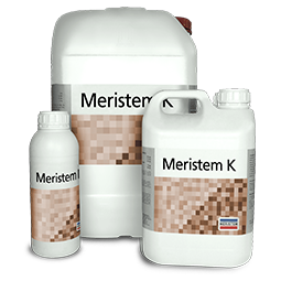 MERISTEM K (МЕРИСТЕМ К)