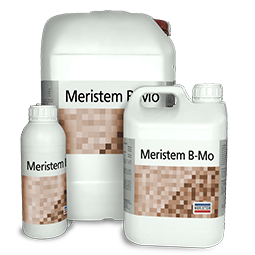 MERISTEM B-MO (МЕРИСТЕМ В-МО)