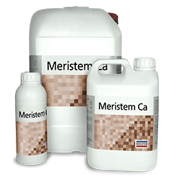 MERISTEM CA (МЕРИСТЕМ СА)